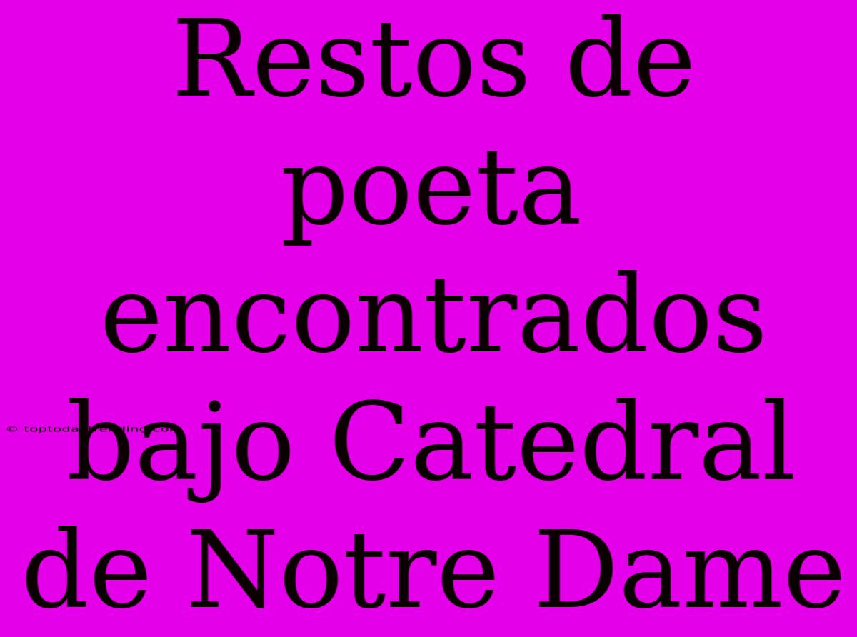 Restos De Poeta Encontrados Bajo Catedral De Notre Dame