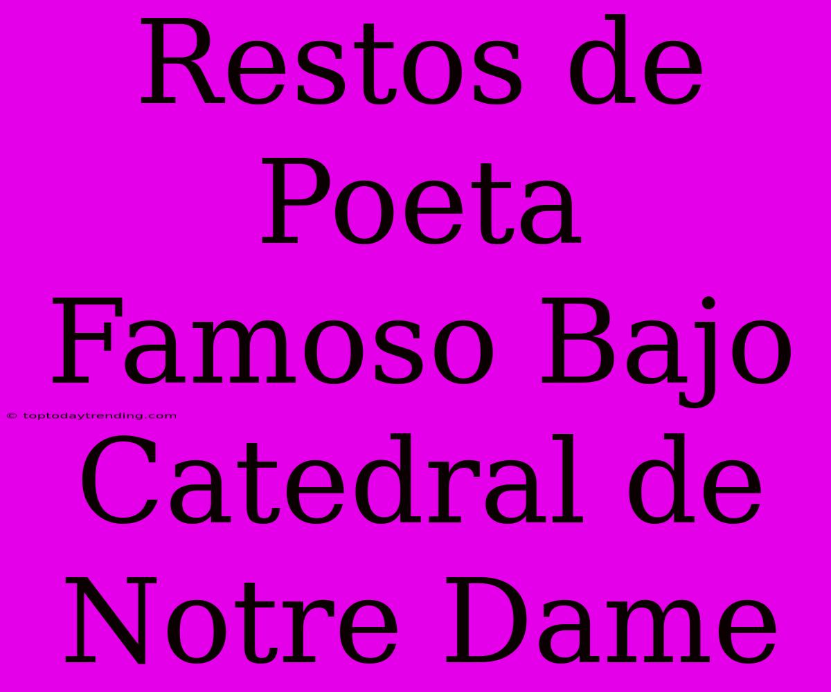 Restos De Poeta Famoso Bajo Catedral De Notre Dame