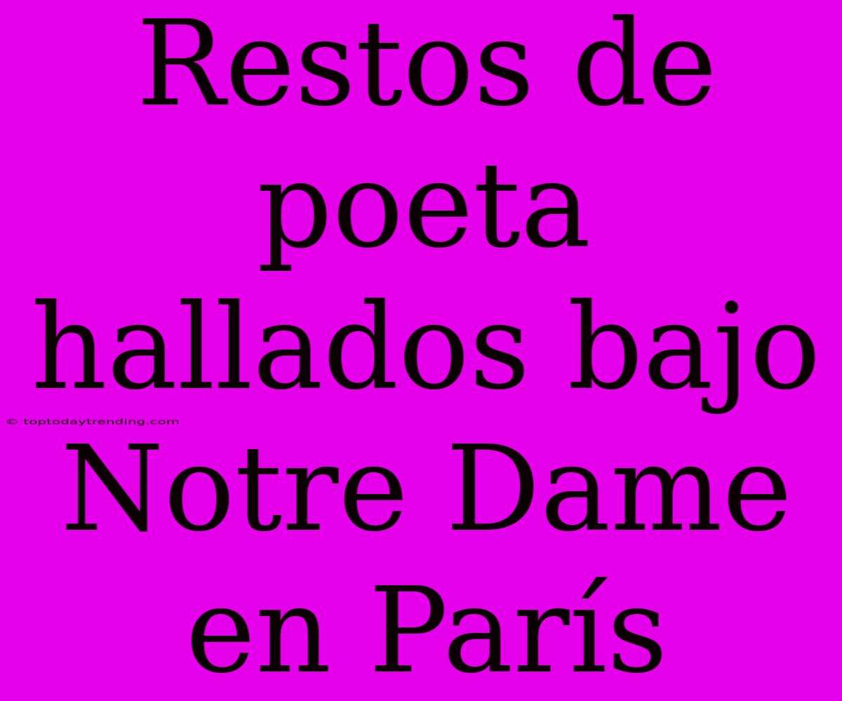 Restos De Poeta Hallados Bajo Notre Dame En París