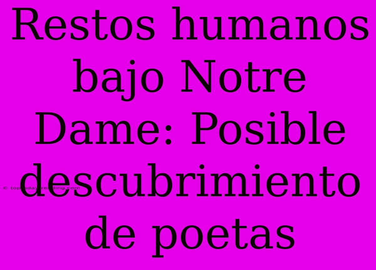 Restos Humanos Bajo Notre Dame: Posible Descubrimiento De Poetas