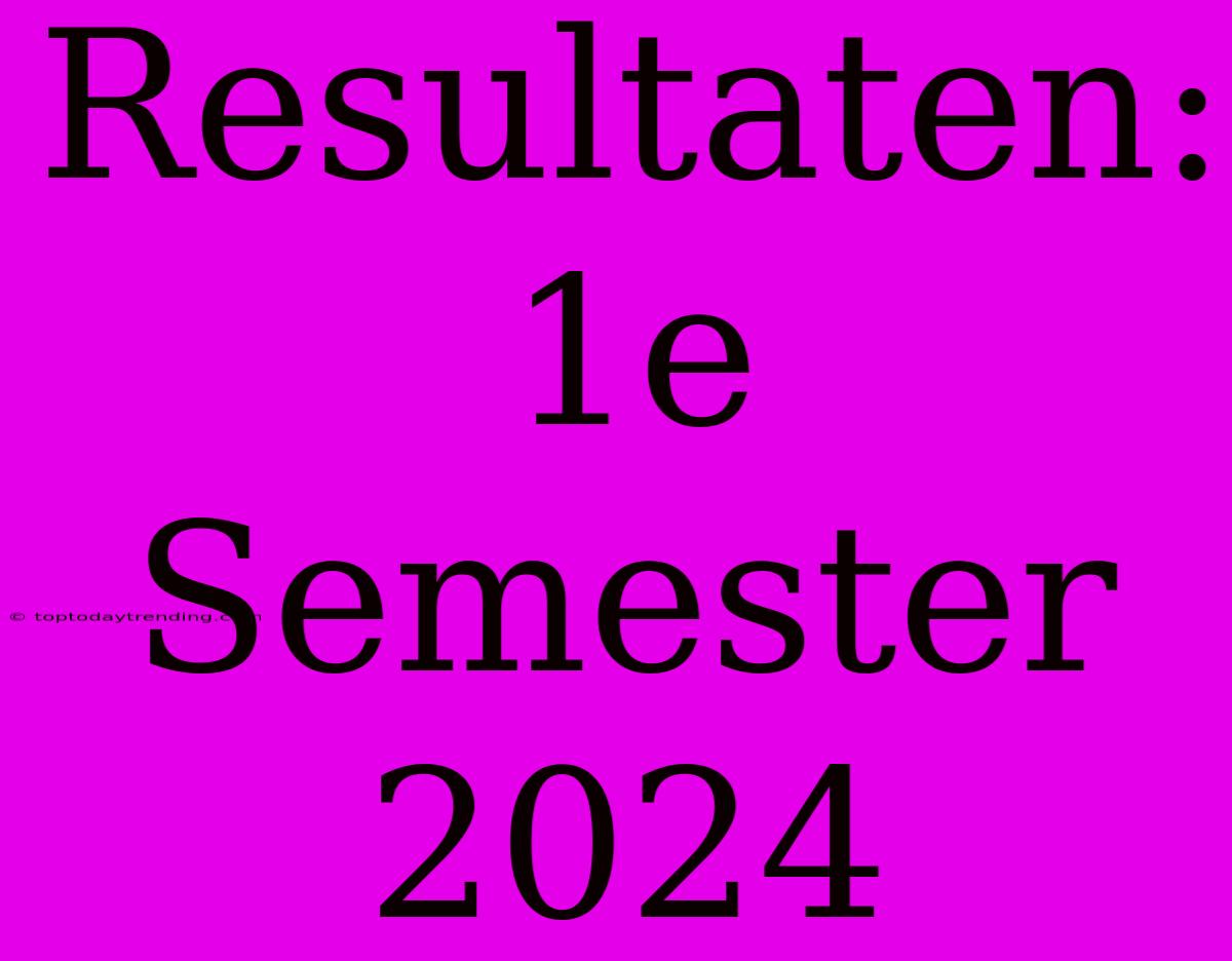 Resultaten: 1e Semester 2024