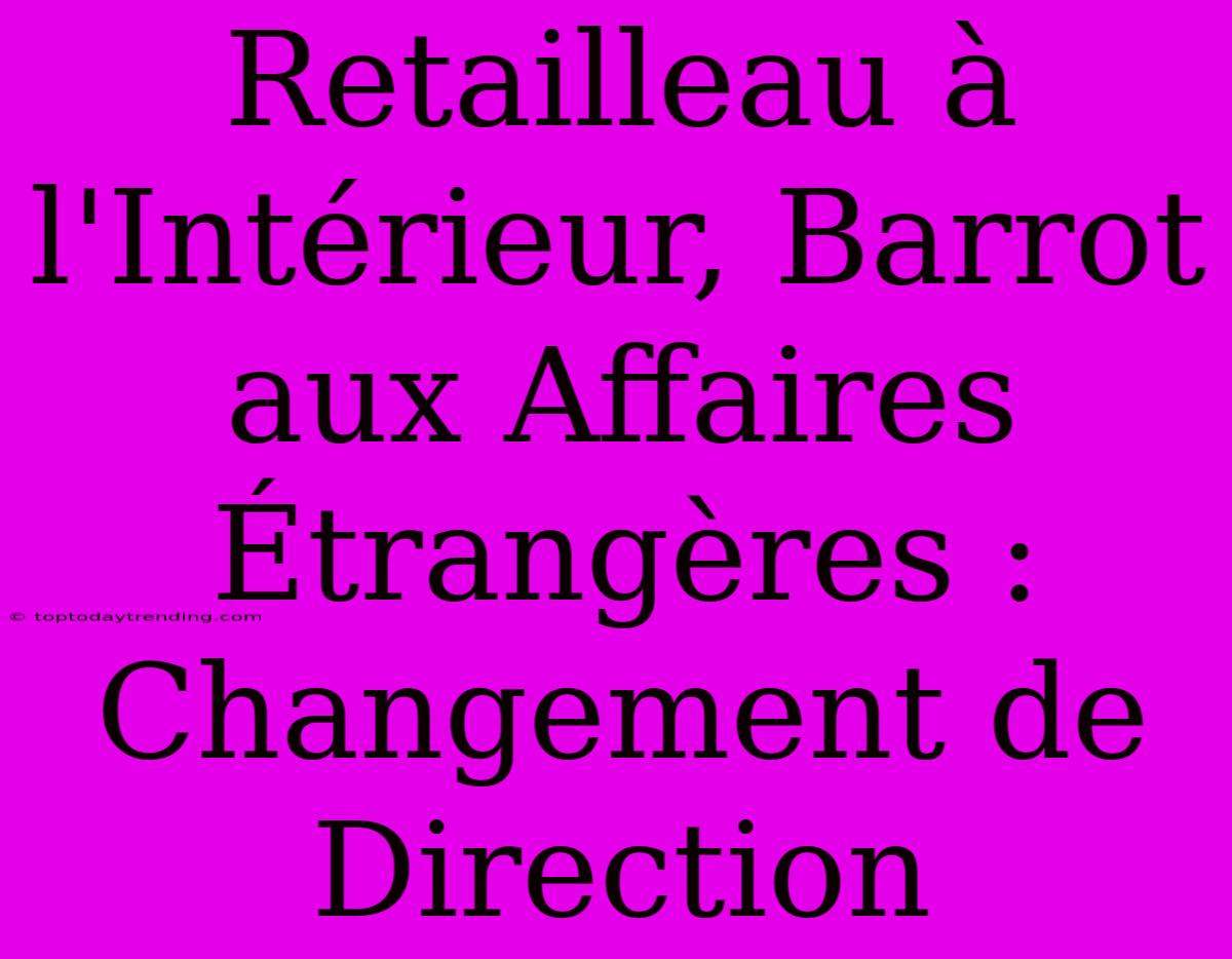 Retailleau À L'Intérieur, Barrot Aux Affaires Étrangères : Changement De Direction