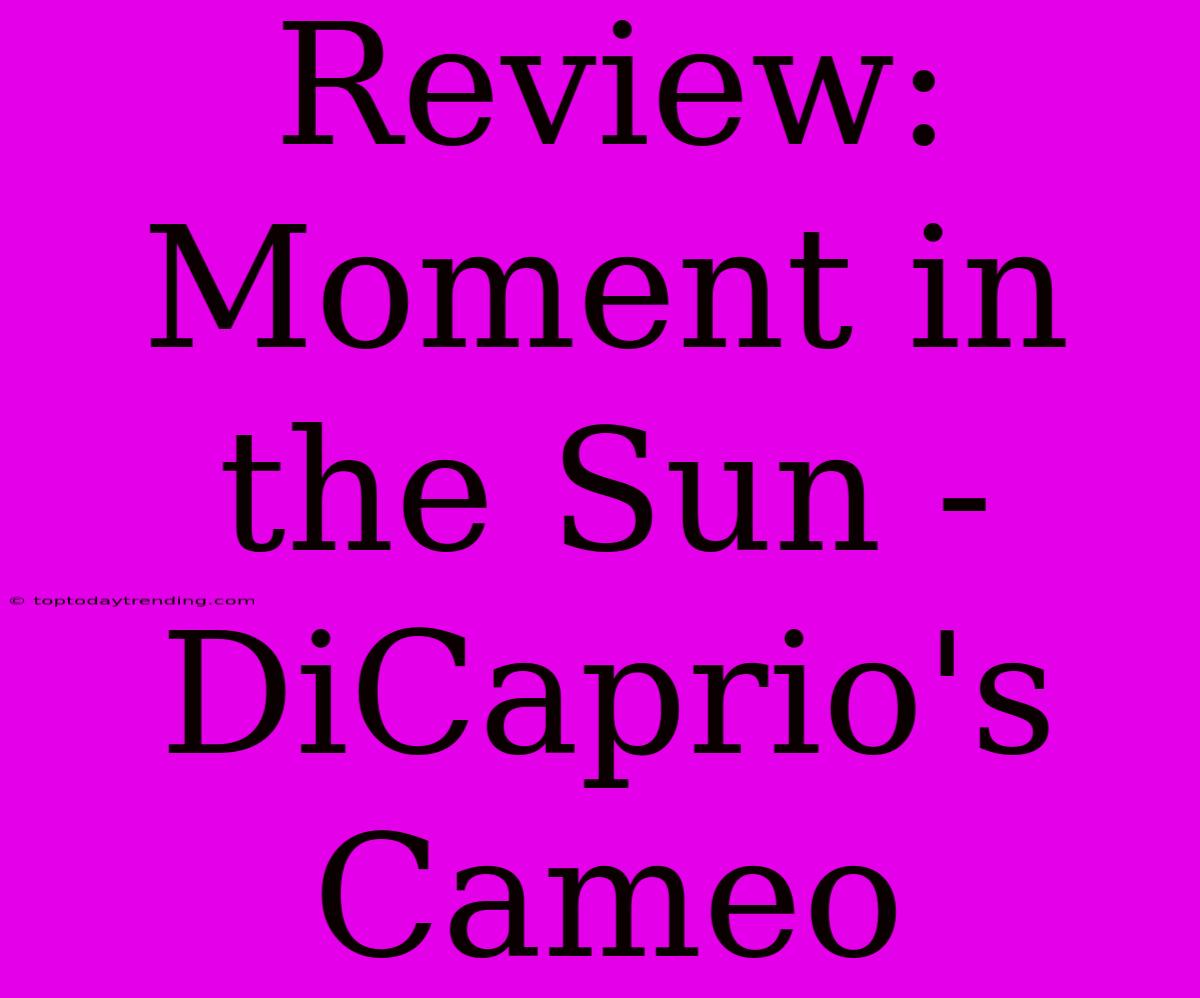 Review: Moment In The Sun - DiCaprio's Cameo