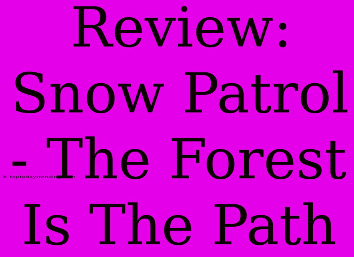 Review: Snow Patrol - The Forest Is The Path