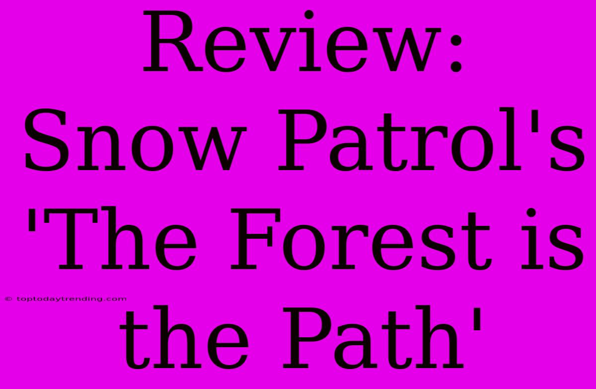 Review: Snow Patrol's 'The Forest Is The Path'