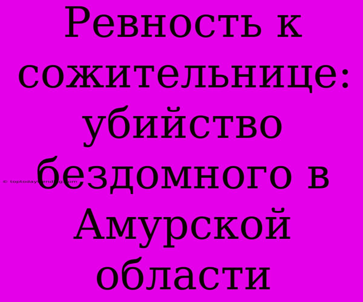 Ревность К Сожительнице: Убийство Бездомного В Амурской Области