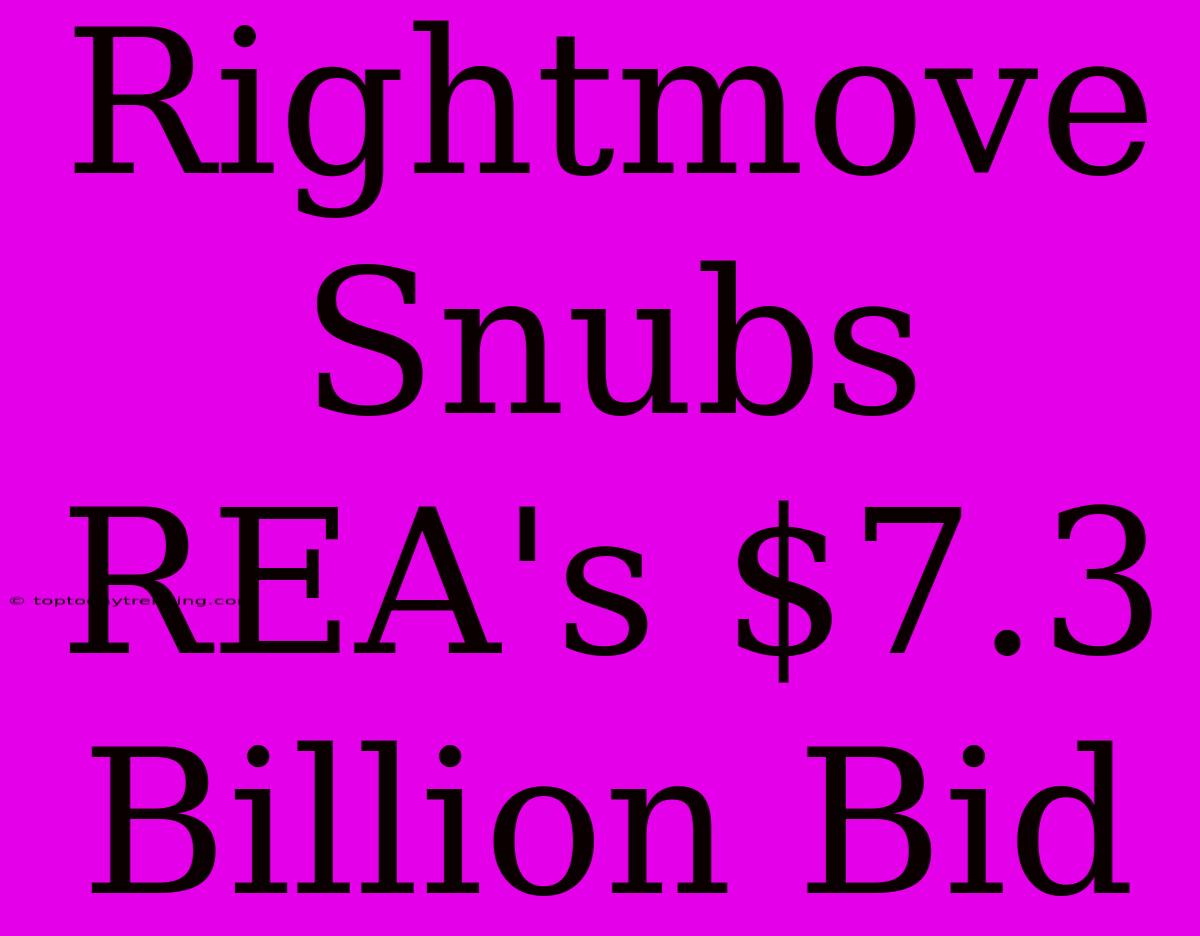 Rightmove Snubs REA's $7.3 Billion Bid