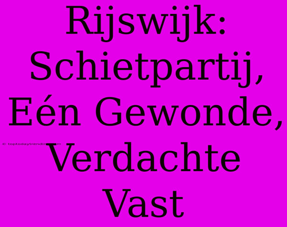 Rijswijk: Schietpartij, Eén Gewonde, Verdachte Vast