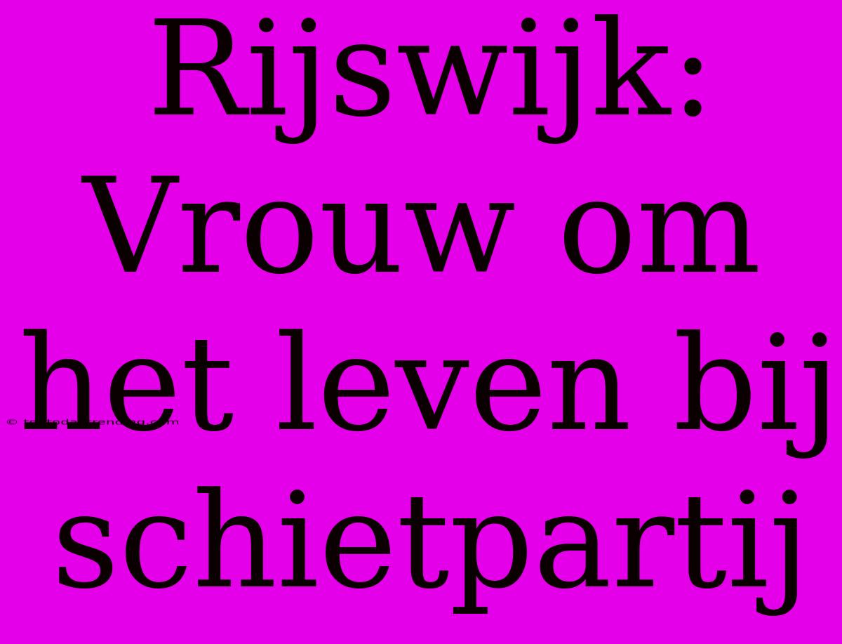 Rijswijk: Vrouw Om Het Leven Bij Schietpartij