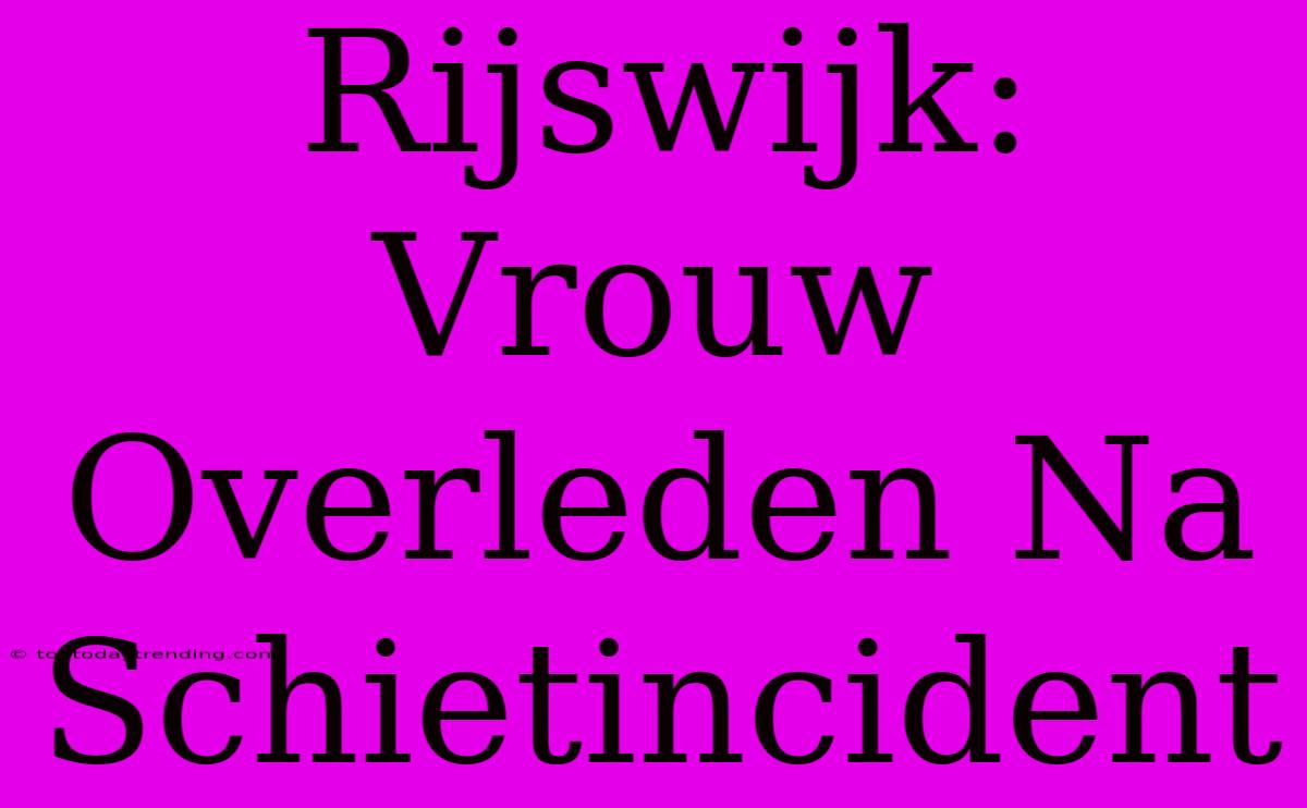 Rijswijk: Vrouw Overleden Na Schietincident