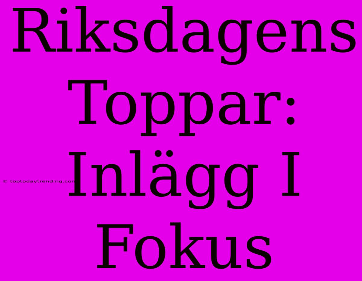 Riksdagens Toppar: Inlägg I Fokus