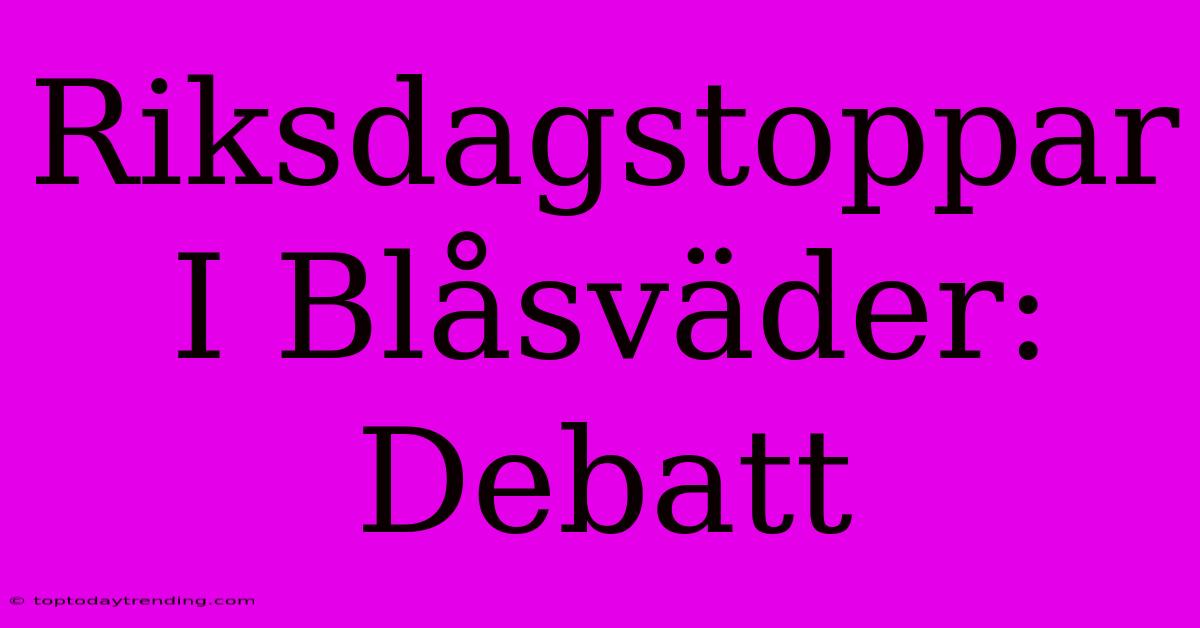 Riksdagstoppar I Blåsväder: Debatt