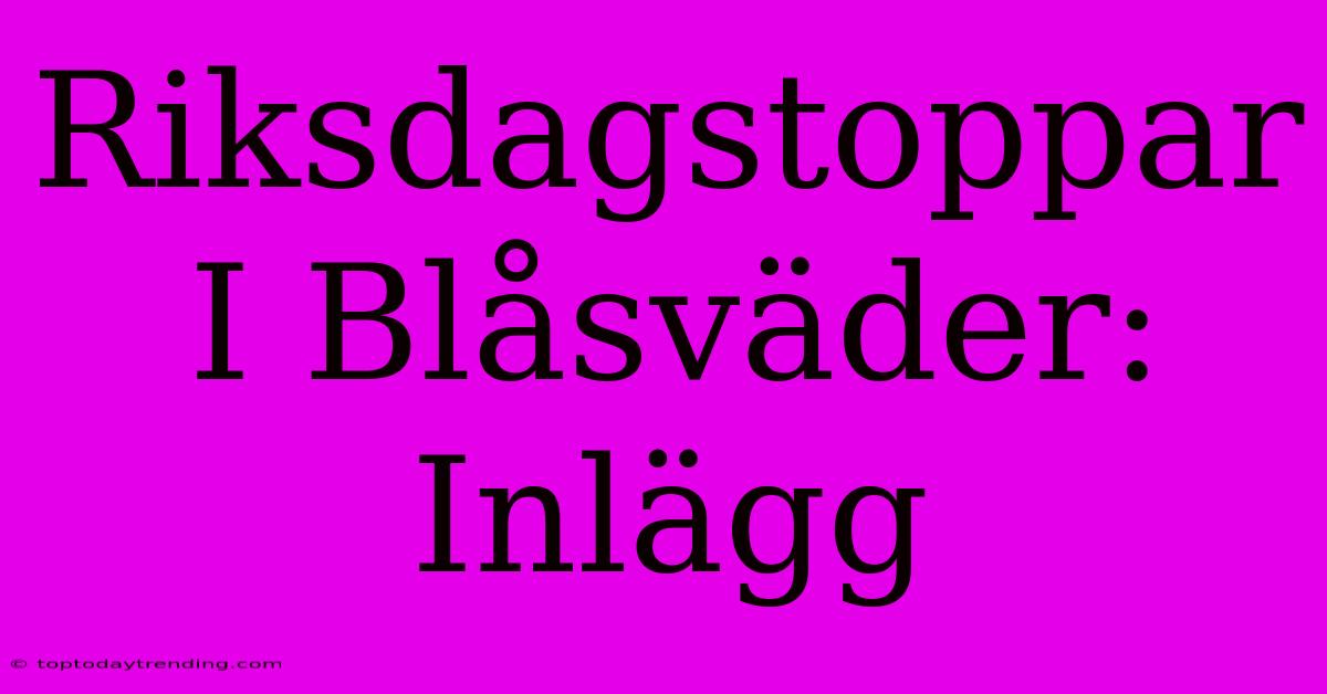 Riksdagstoppar I Blåsväder: Inlägg