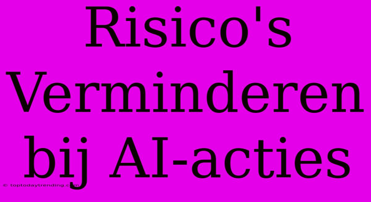 Risico's Verminderen Bij AI-acties