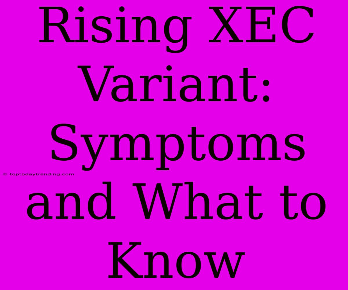 Rising XEC Variant: Symptoms And What To Know