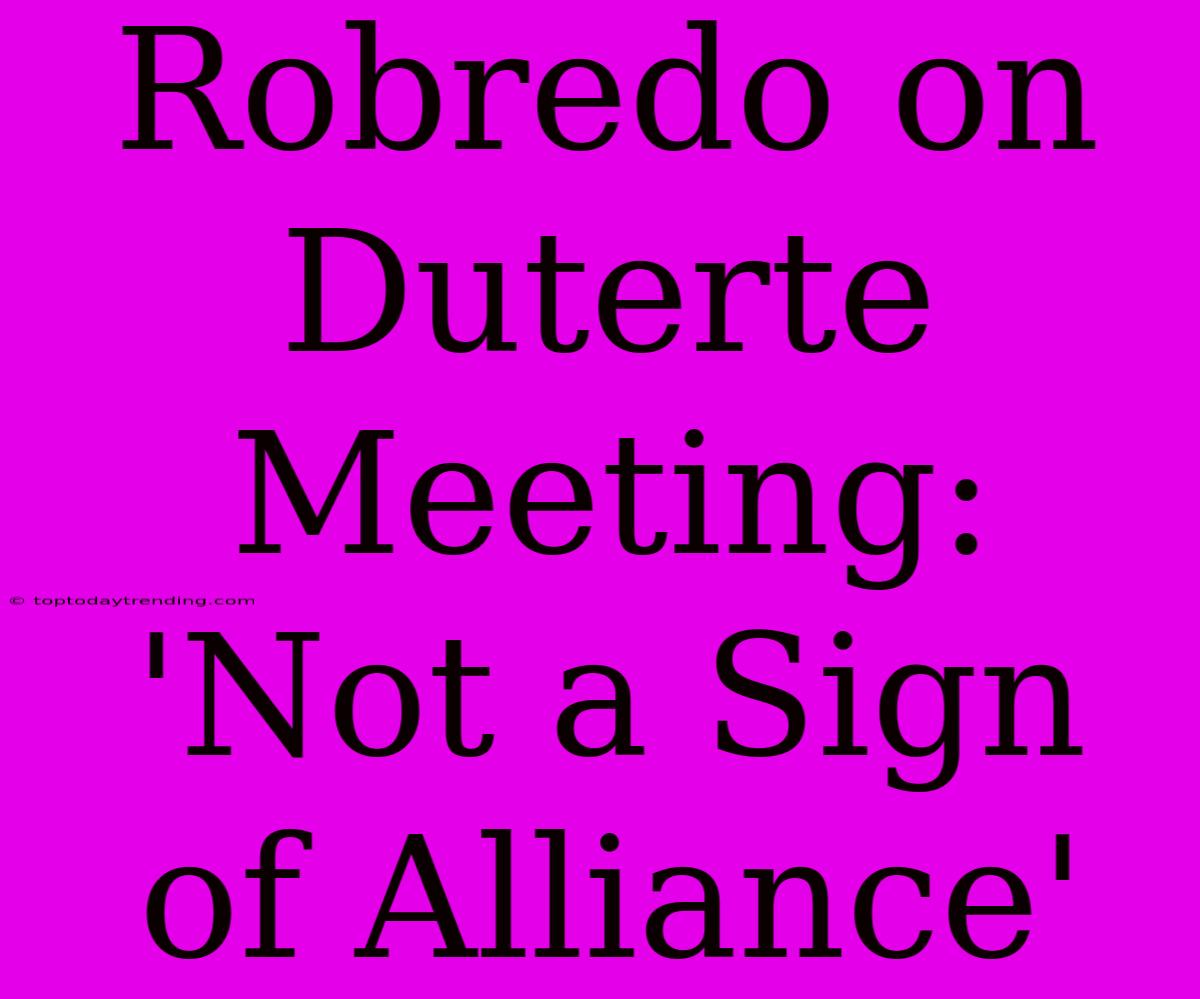 Robredo On Duterte Meeting: 'Not A Sign Of Alliance'