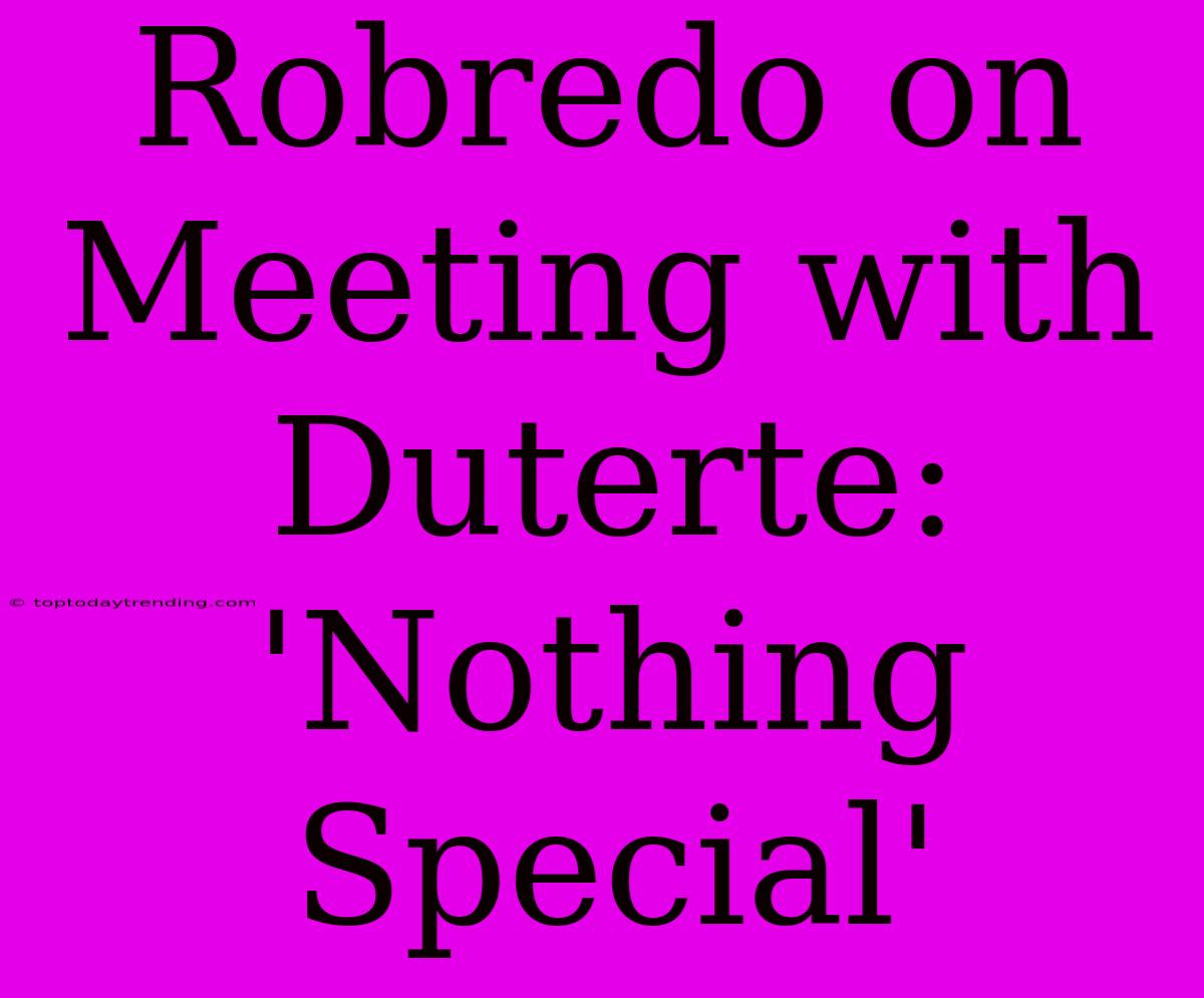 Robredo On Meeting With Duterte: 'Nothing Special'