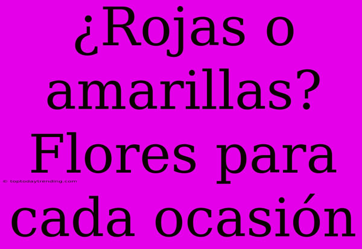 ¿Rojas O Amarillas? Flores Para Cada Ocasión