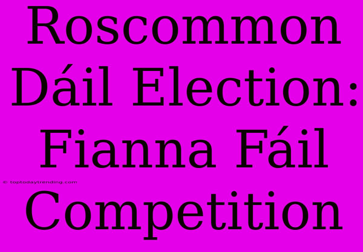 Roscommon Dáil Election: Fianna Fáil Competition