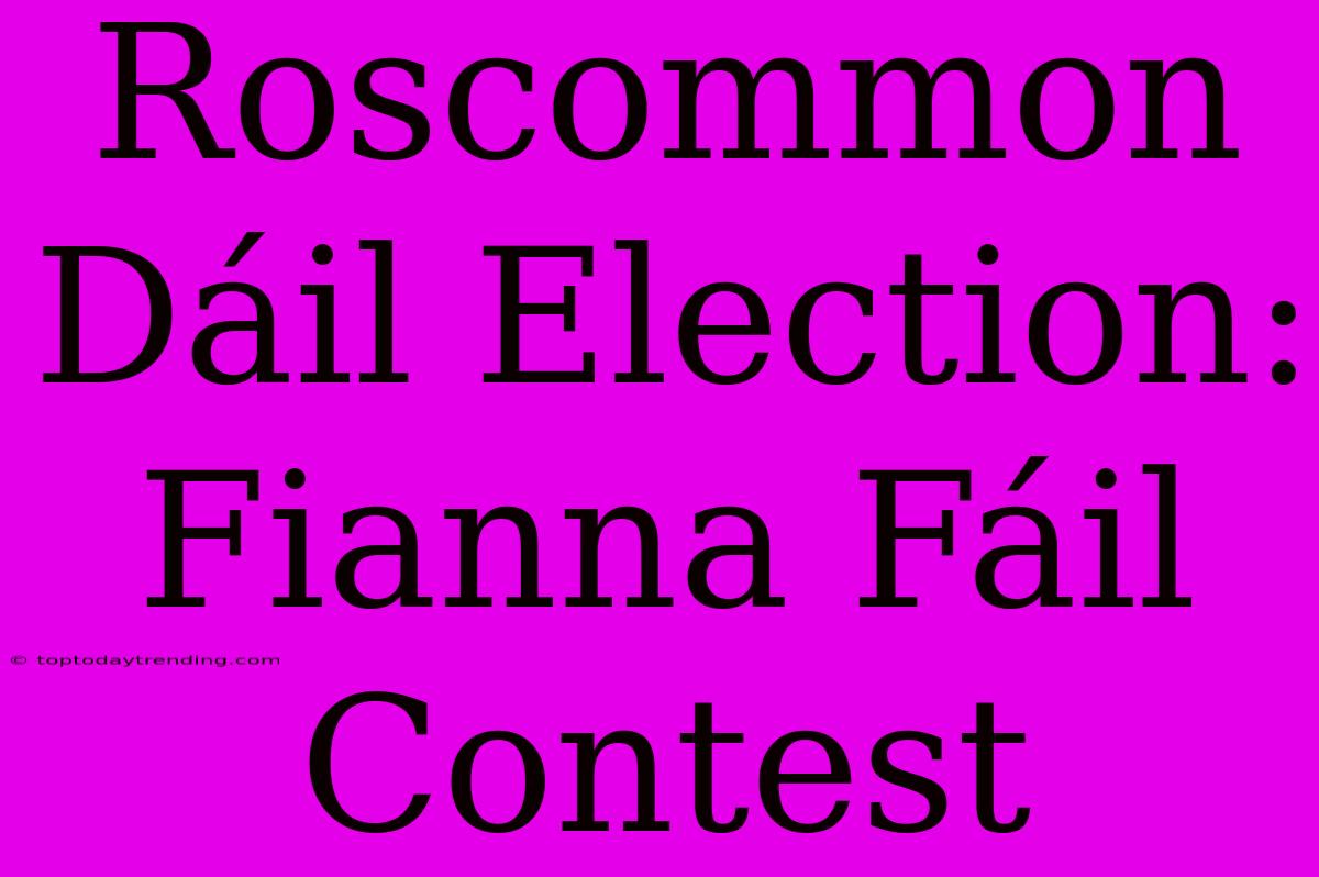 Roscommon Dáil Election: Fianna Fáil Contest