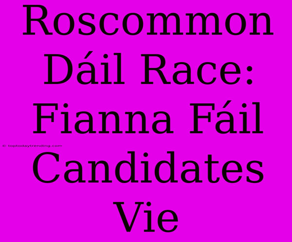 Roscommon Dáil Race: Fianna Fáil Candidates Vie