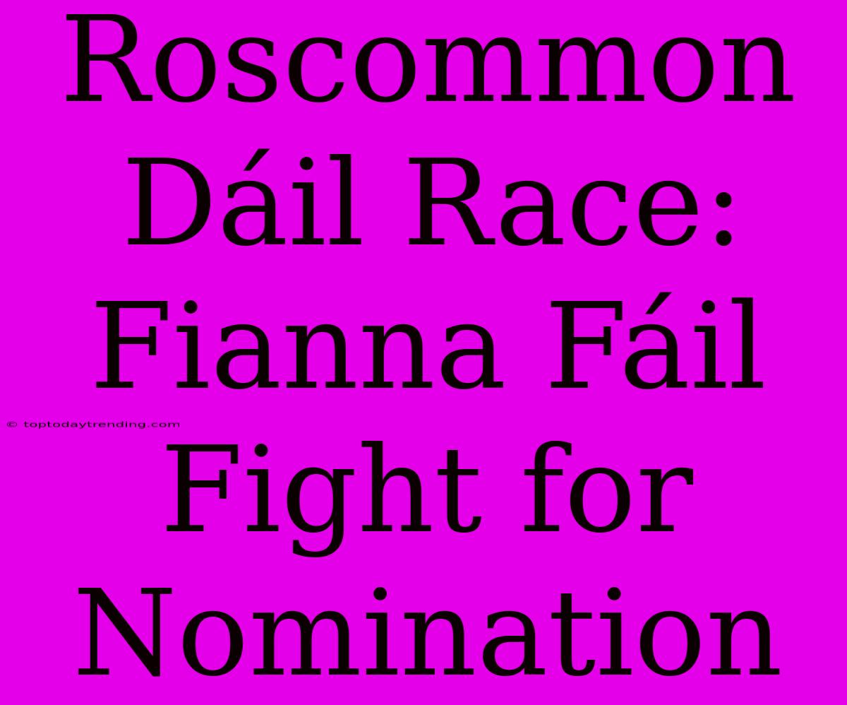 Roscommon Dáil Race: Fianna Fáil Fight For Nomination