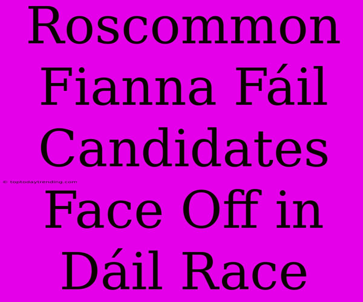 Roscommon Fianna Fáil Candidates Face Off In Dáil Race