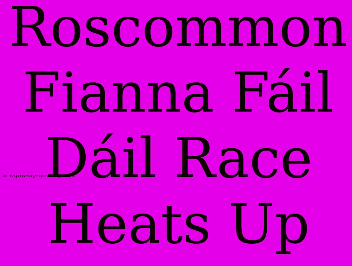 Roscommon Fianna Fáil Dáil Race Heats Up