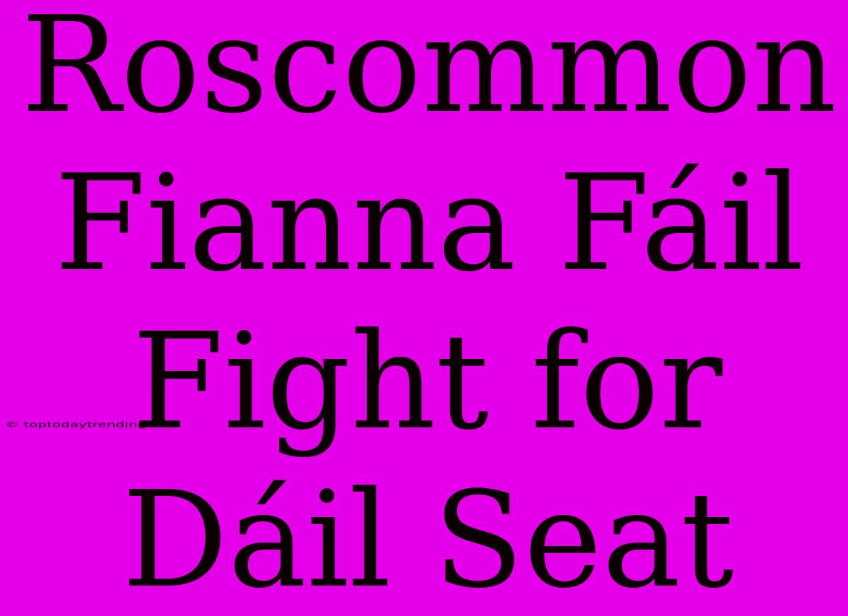 Roscommon Fianna Fáil Fight For Dáil Seat