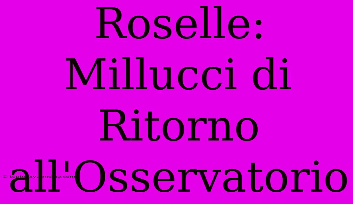 Roselle: Millucci Di Ritorno All'Osservatorio