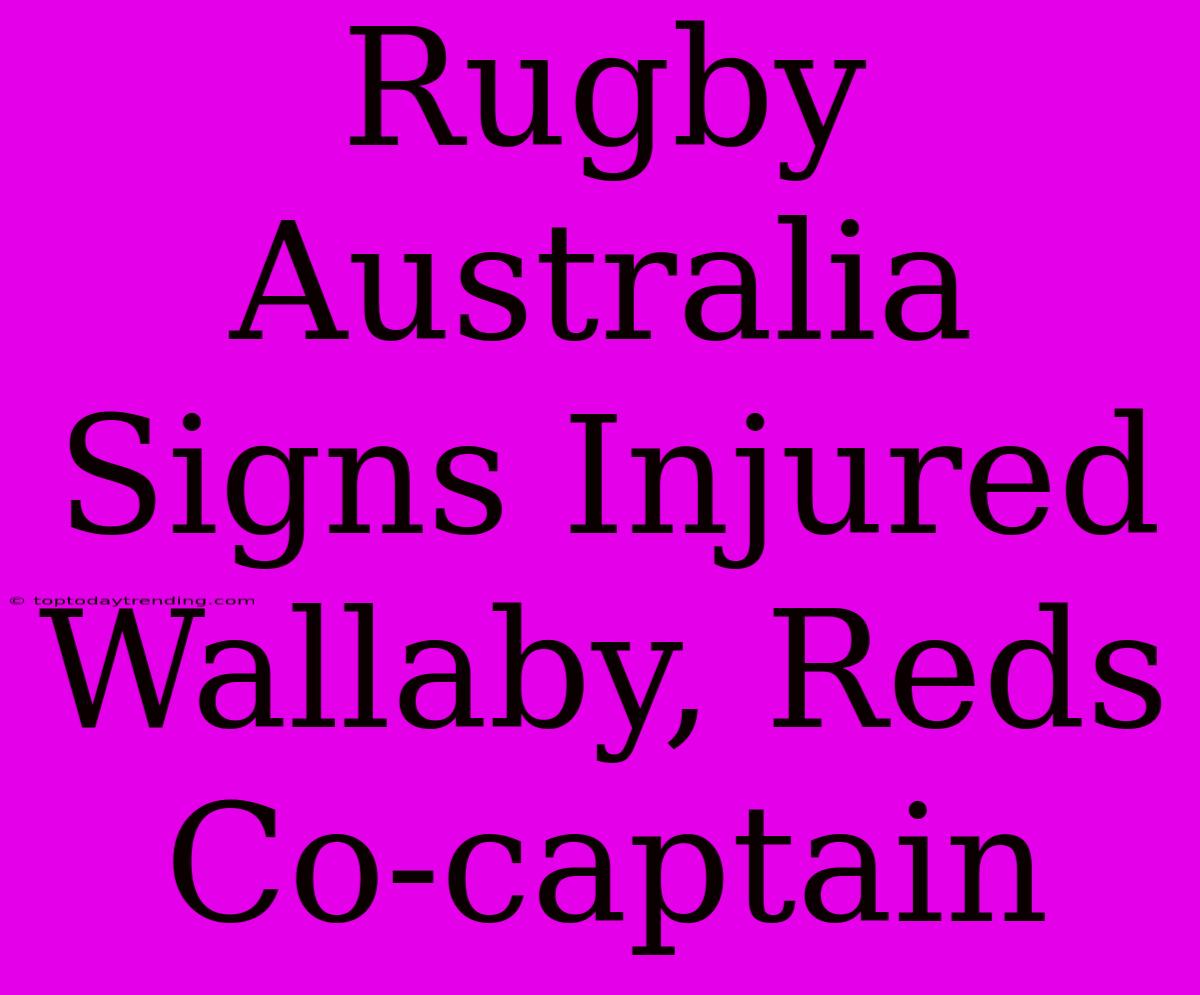 Rugby Australia Signs Injured Wallaby, Reds Co-captain