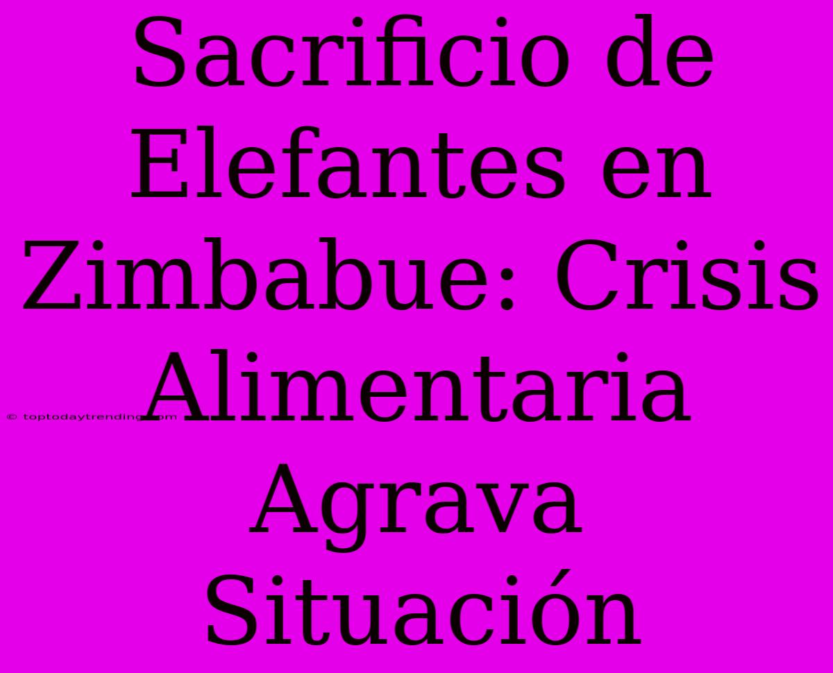 Sacrificio De Elefantes En Zimbabue: Crisis Alimentaria Agrava Situación