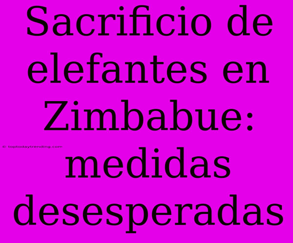 Sacrificio De Elefantes En Zimbabue: Medidas Desesperadas