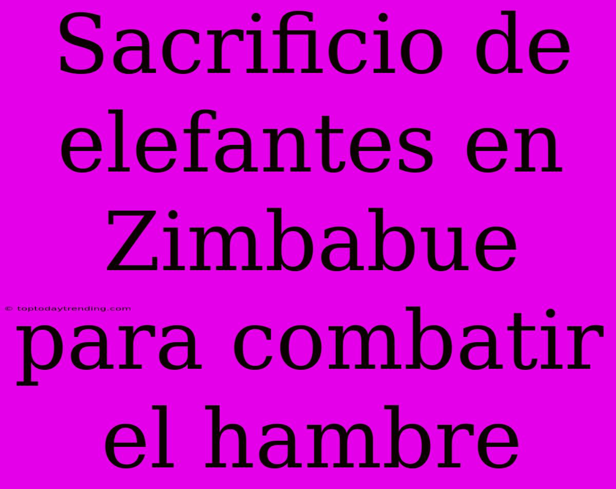 Sacrificio De Elefantes En Zimbabue Para Combatir El Hambre