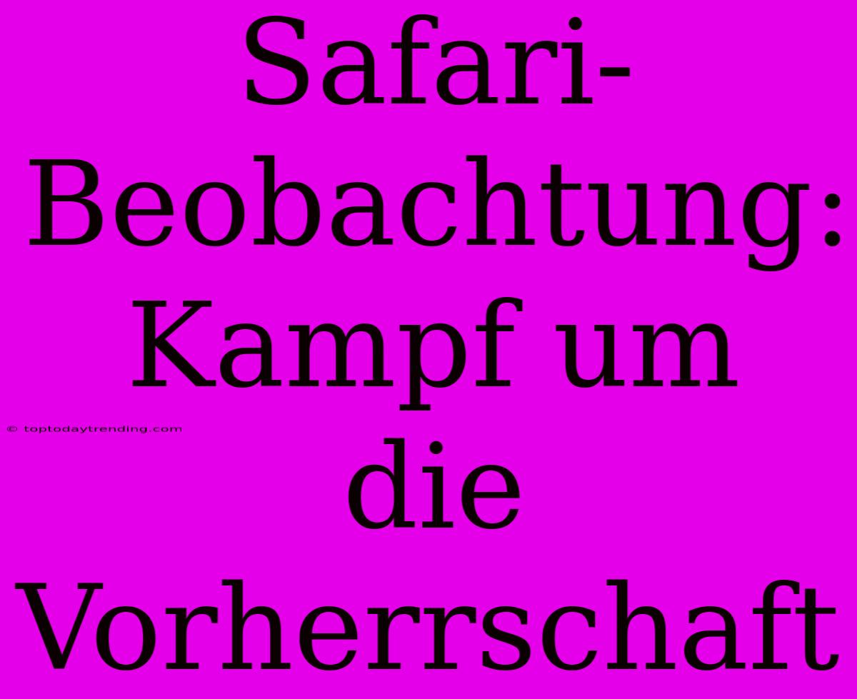 Safari-Beobachtung: Kampf Um Die Vorherrschaft