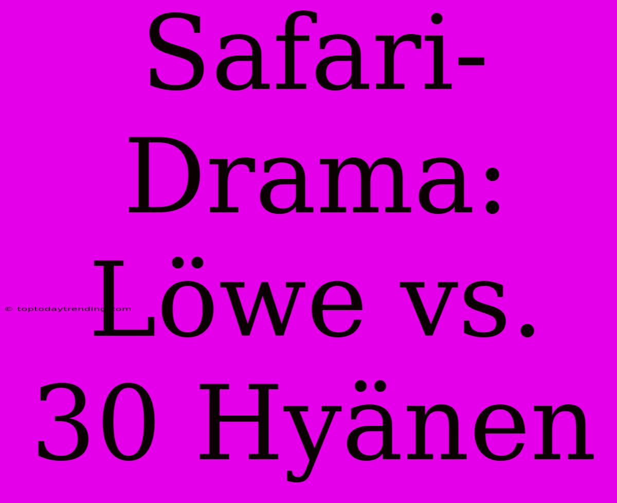 Safari-Drama: Löwe Vs. 30 Hyänen