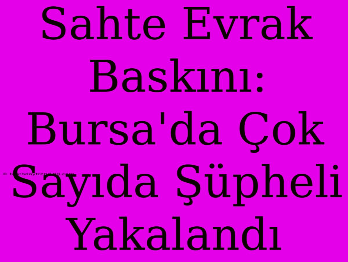 Sahte Evrak Baskını: Bursa'da Çok Sayıda Şüpheli Yakalandı