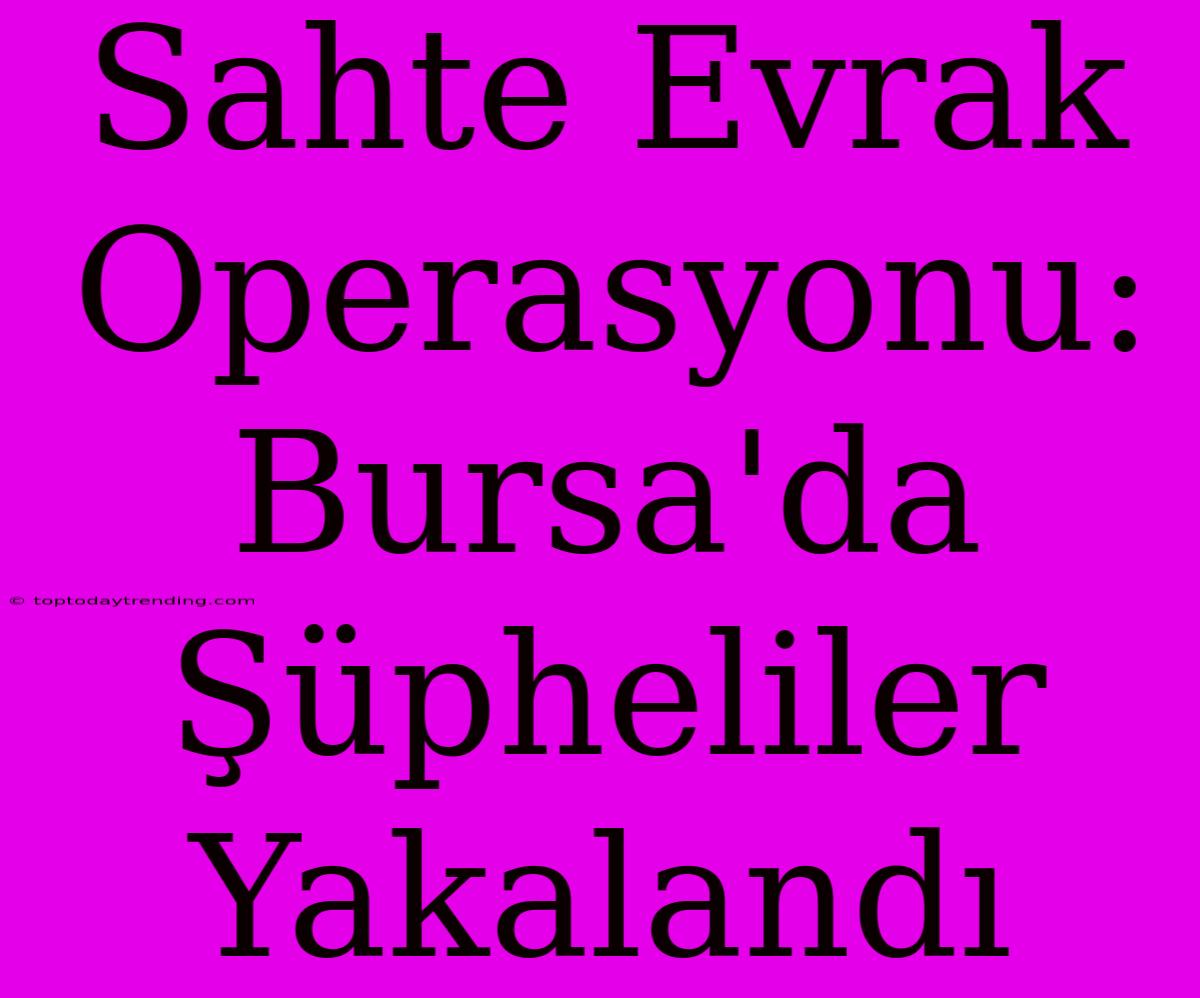 Sahte Evrak Operasyonu: Bursa'da Şüpheliler Yakalandı