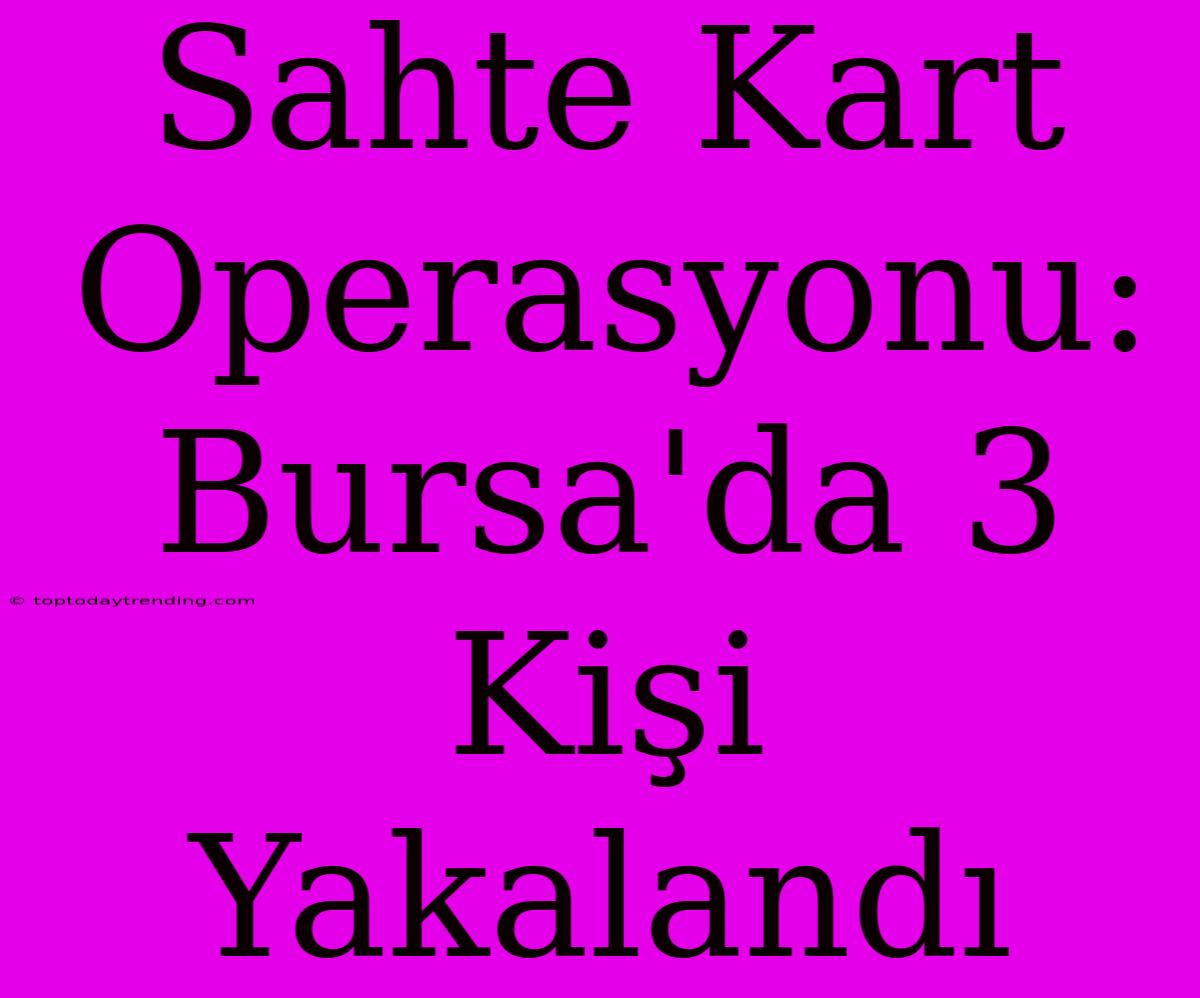 Sahte Kart Operasyonu: Bursa'da 3 Kişi Yakalandı