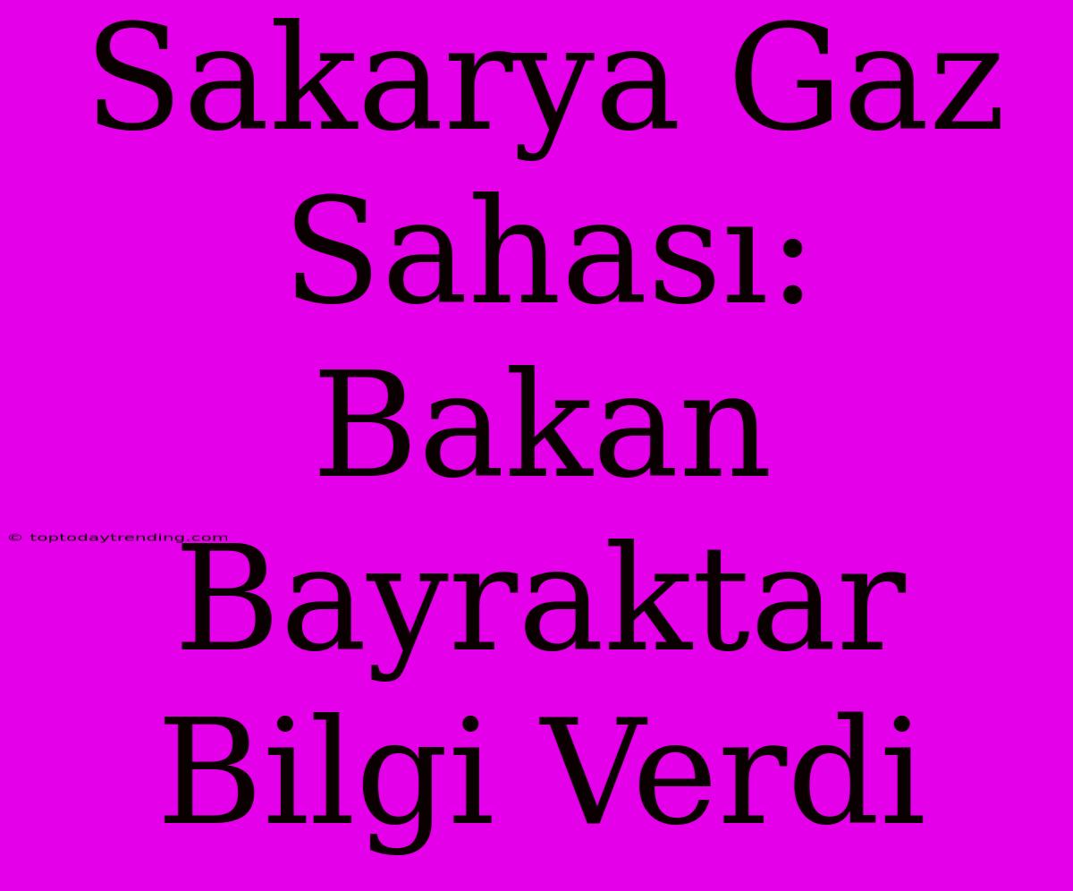 Sakarya Gaz Sahası: Bakan Bayraktar Bilgi Verdi