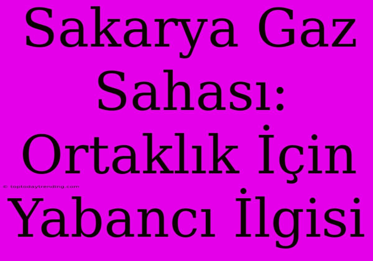 Sakarya Gaz Sahası: Ortaklık İçin Yabancı İlgisi