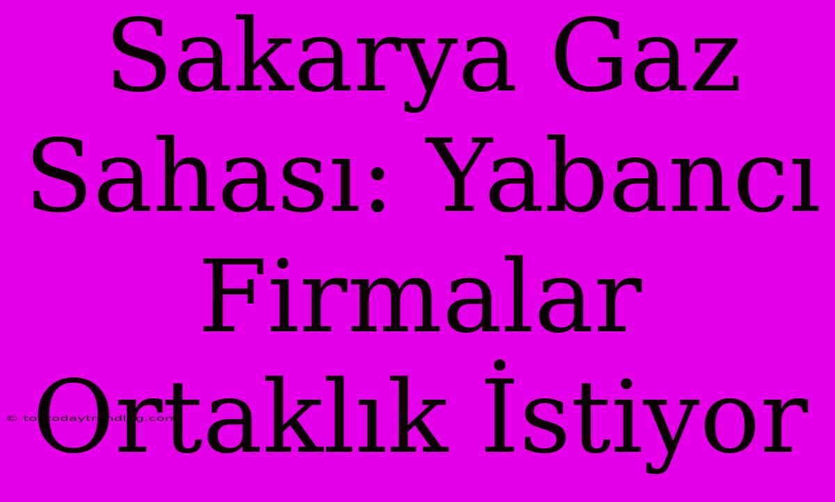 Sakarya Gaz Sahası: Yabancı Firmalar Ortaklık İstiyor