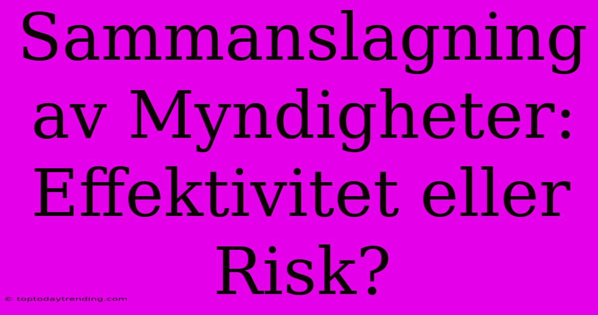 Sammanslagning Av Myndigheter: Effektivitet Eller Risk?