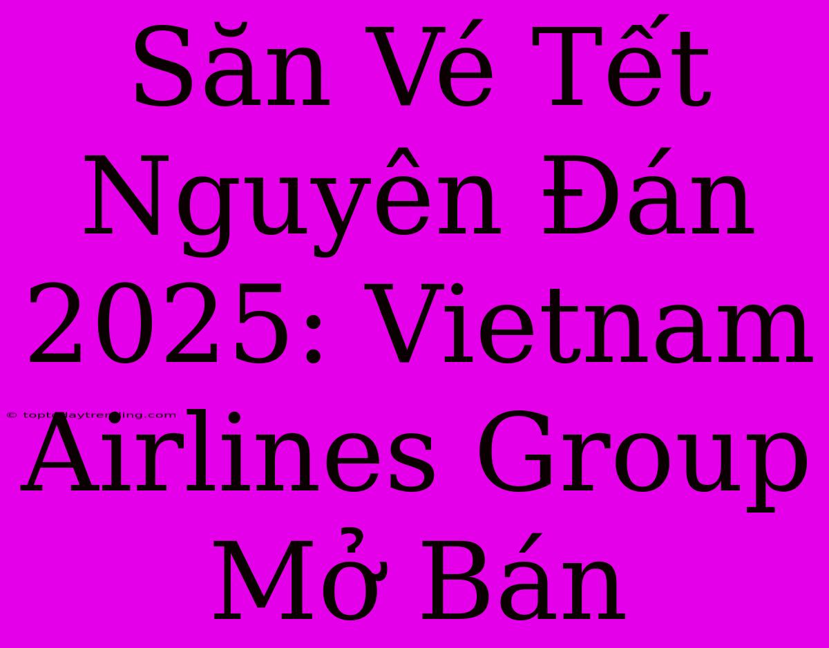 Săn Vé Tết Nguyên Đán 2025: Vietnam Airlines Group Mở Bán