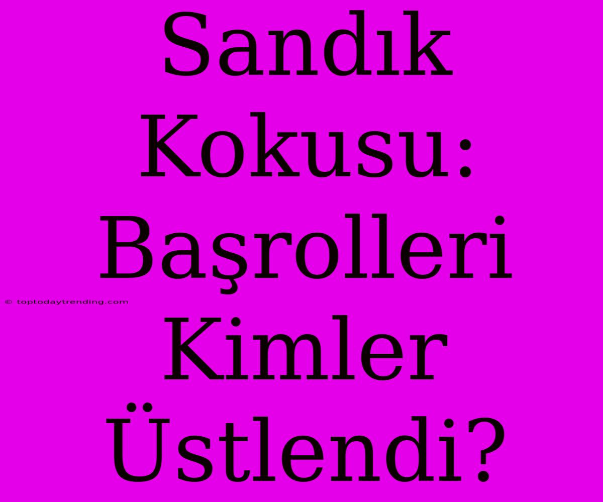 Sandık Kokusu: Başrolleri Kimler Üstlendi?