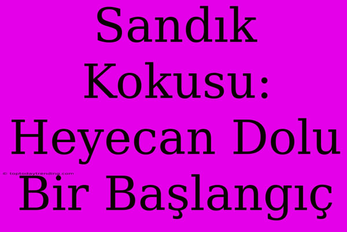 Sandık Kokusu: Heyecan Dolu Bir Başlangıç