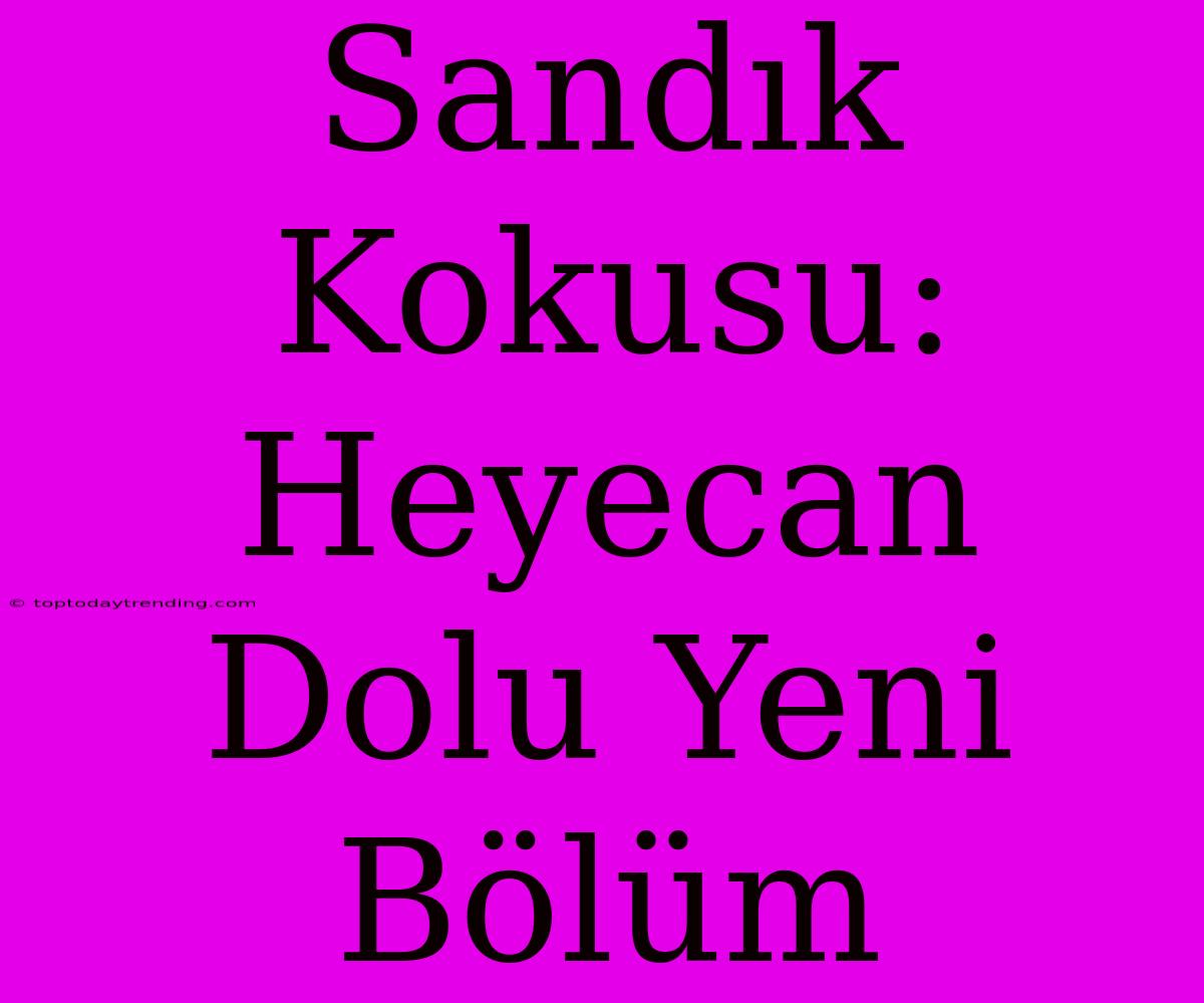 Sandık Kokusu: Heyecan Dolu Yeni Bölüm