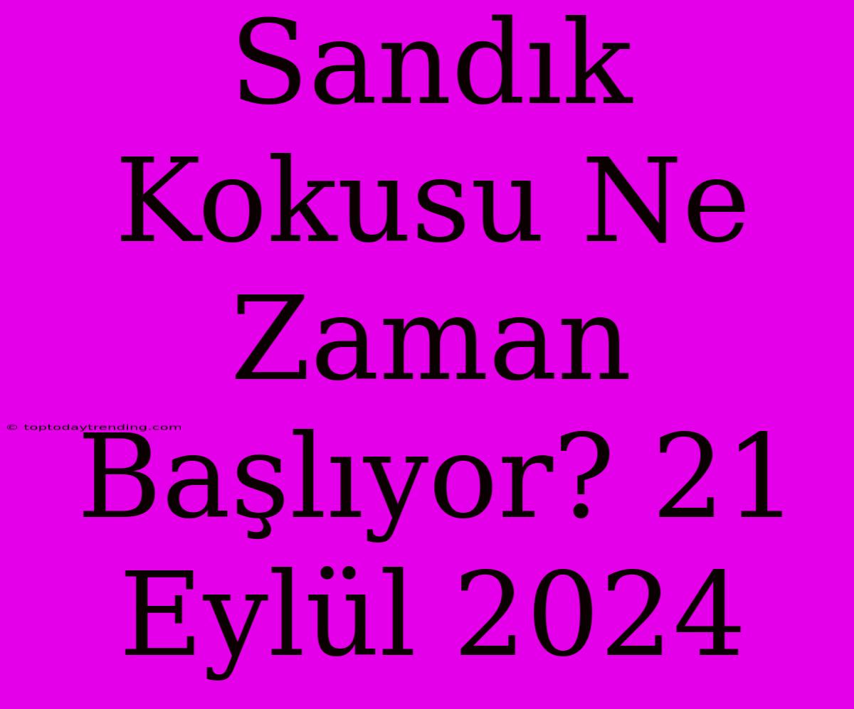 Sandık Kokusu Ne Zaman Başlıyor? 21 Eylül 2024