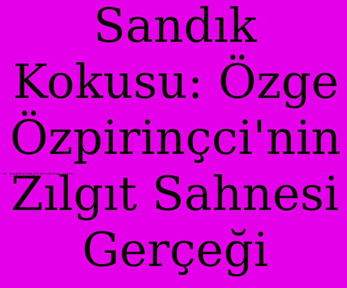 Sandık Kokusu: Özge Özpirinçci'nin Zılgıt Sahnesi Gerçeği