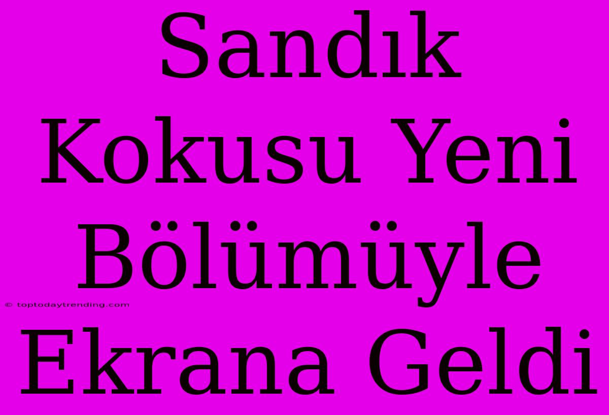 Sandık Kokusu Yeni Bölümüyle Ekrana Geldi